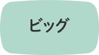 ビッグ