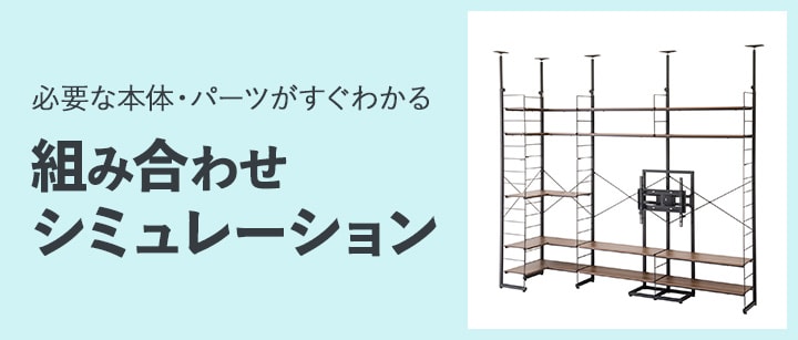 Nポルダシミュレーション