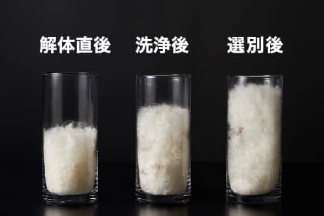 羽毛の重さ画像