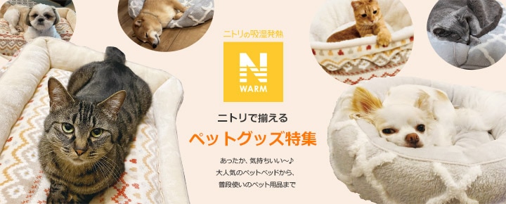 犬 猫 おもちゃ ボール 壊れない 噛む おやつ 青 知育 餌 歯磨きボール - 7