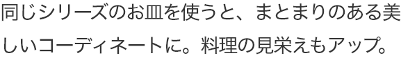 同じシリーズのお皿を使うと、まとまりのある美しいコーディネートに。料理の見栄えもアップ。