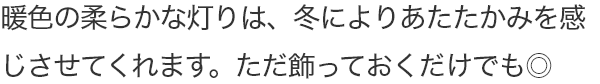 暖色の柔らかな灯りは、冬よりあたたかみを感じさせてくれます。ただ飾っておくだけでも◎