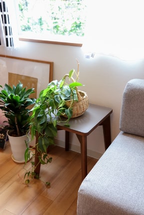 植物を置いても収まりの良いスタッキングスツール
