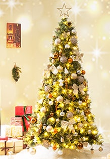 ☆クリスマス オーナメント☆お値下げ中☆ いかし