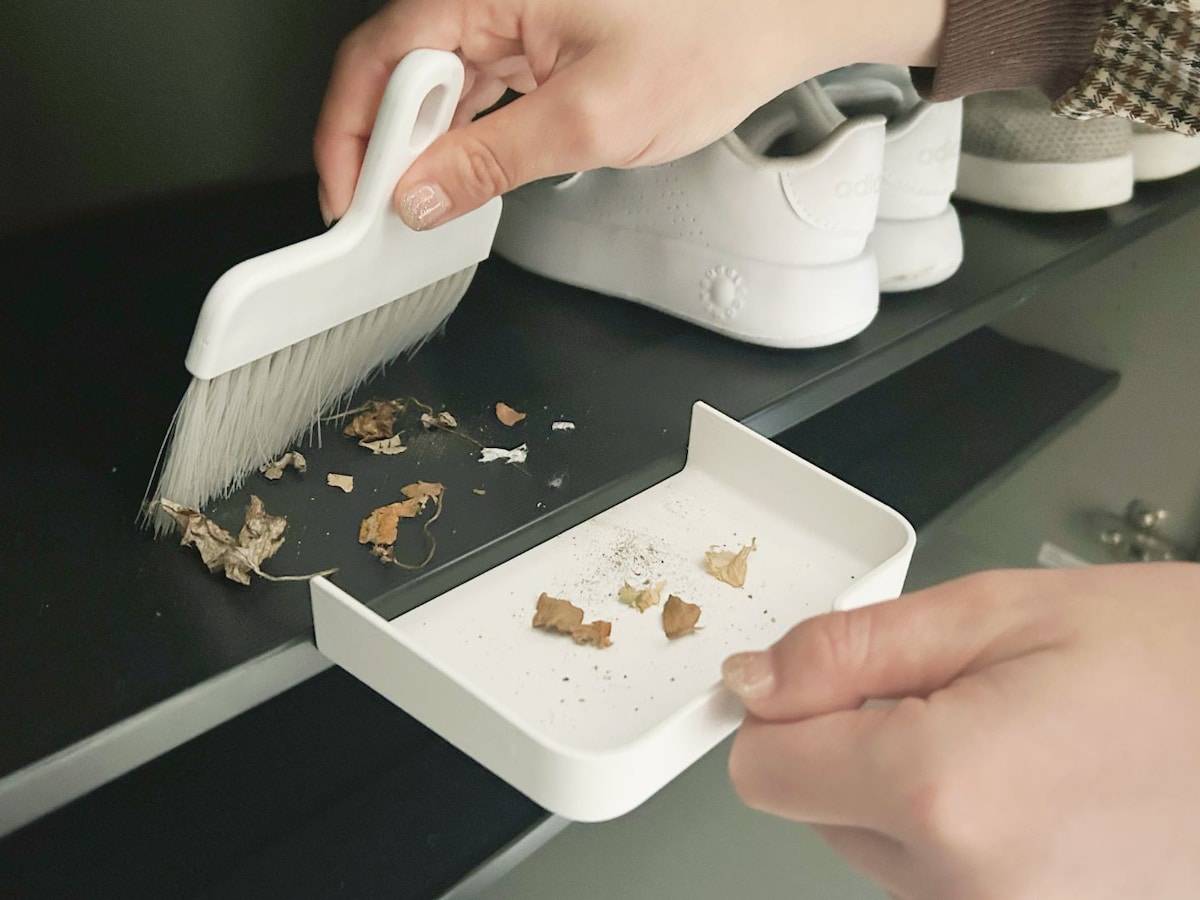 下駄箱にほこりが溜まると菌の温床になり、ニオイの原因になるため、こまめな掃除をするのがポイント