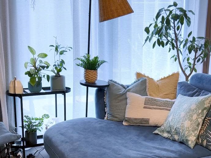 熱帯魚や植物に囲まれて癒しの空間にしています。