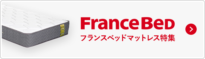 フランスベッドマットレス特集