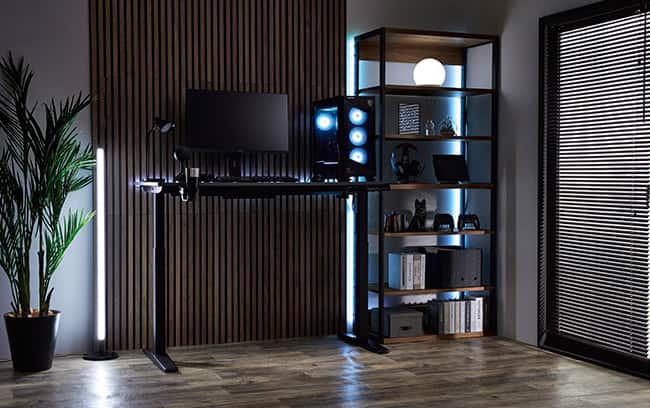 Ultimate Playroom