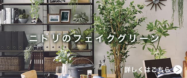 ニトリのフェイクグリーン 詳しくはこちら
