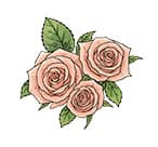ニトリのお花