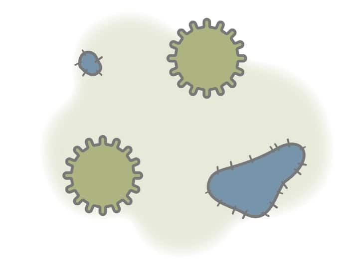 カビのイラスト