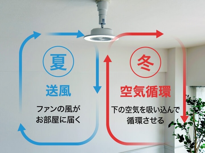 夏は送風・冬は空気循環で活躍