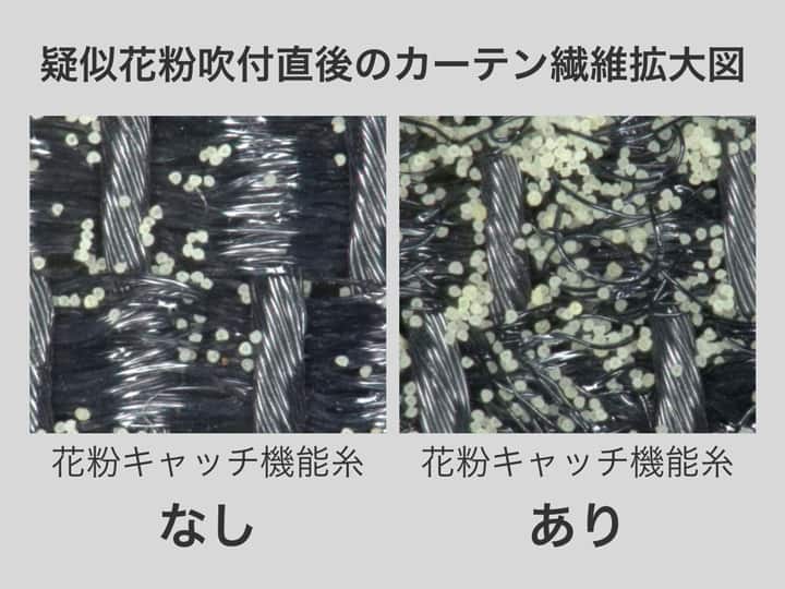 疑似花粉吹付直後のカーテン繊維拡大図