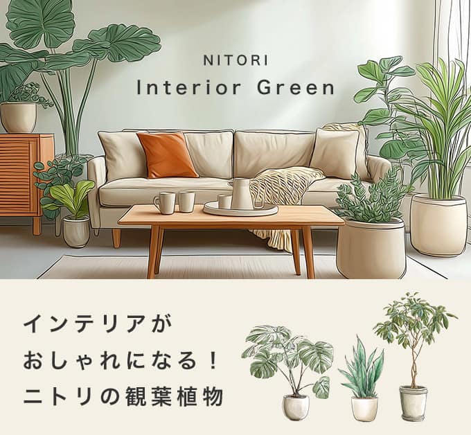 ニトリの観葉植物特集