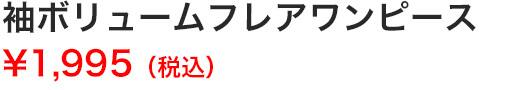 袖ボリュームフレアワンピース