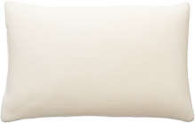 抗菌防臭低反発チップまくら(中)