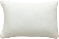 抗菌防臭<br>低反発チップまくら(高)