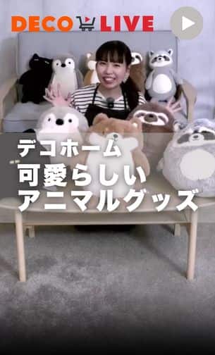 アニマルグッズ