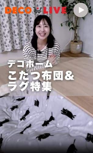 こたつ布団&ラグ