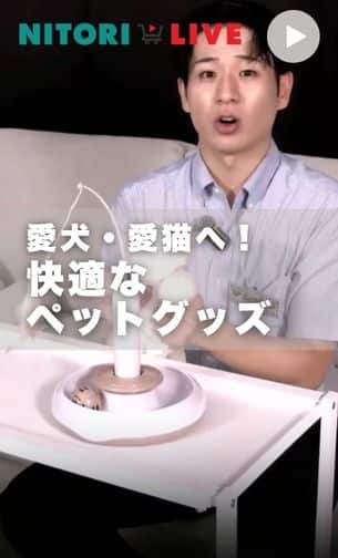 愛犬・愛猫も快適なペットグッズ