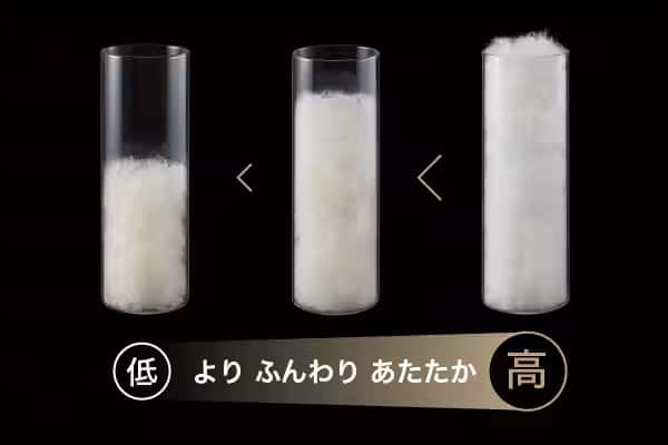 ダウンパワー