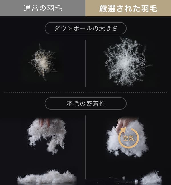 羽毛の種類