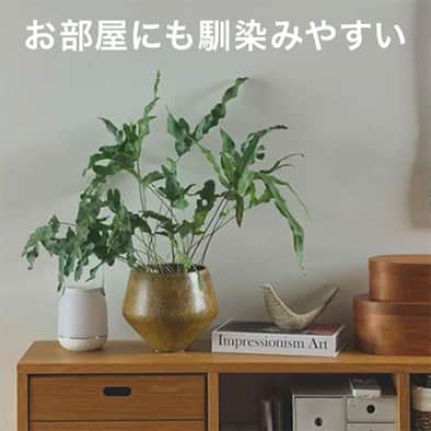 ランタンのイメージ画像