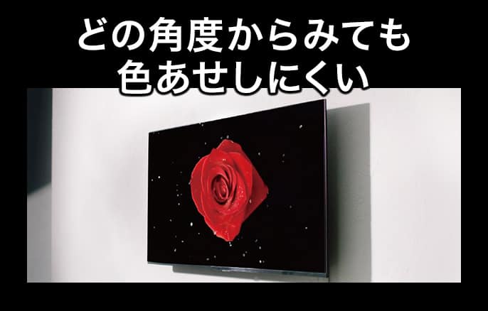 どの角度からみても色あせしにくい