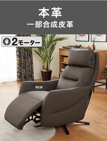 本革 一部合成皮革