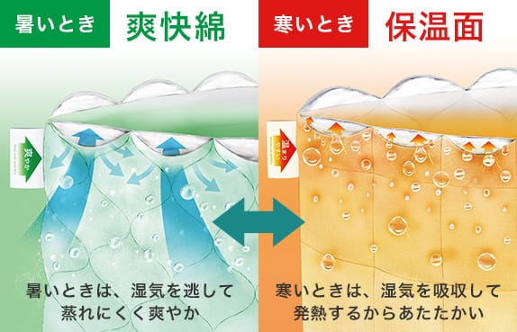 特許出願済 保温面 肌寒いときは【吸湿発熱わた】で温まりやすい　爽快面 汗ばむときは【超吸放湿わた】でムレにくく爽やか
