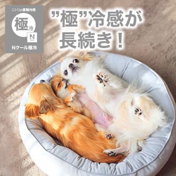 極冷ペットベッドマルM