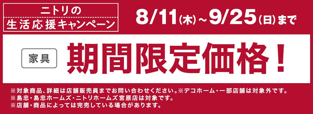 期間限定価格