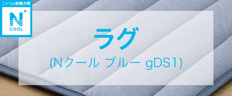 ラグ(Nクール ブルー gDS1)