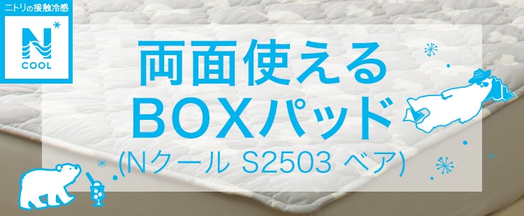 両面使えるBOXパッド (NクールS25 ベア)