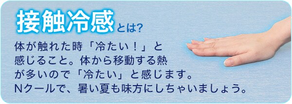 洗える接触冷感ラグ(Nクールキルトn BE TC02)
