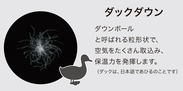 羽毛の種類 ダックダウン