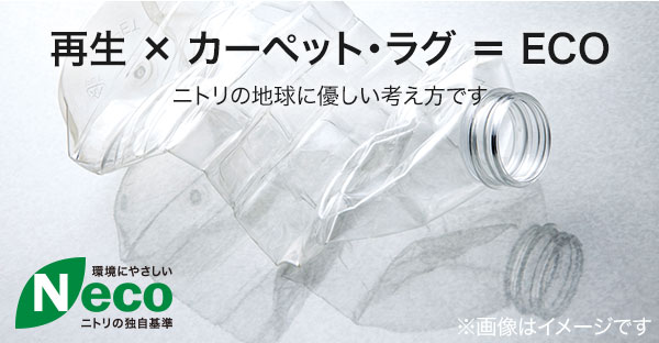 Nエコ ライトケア