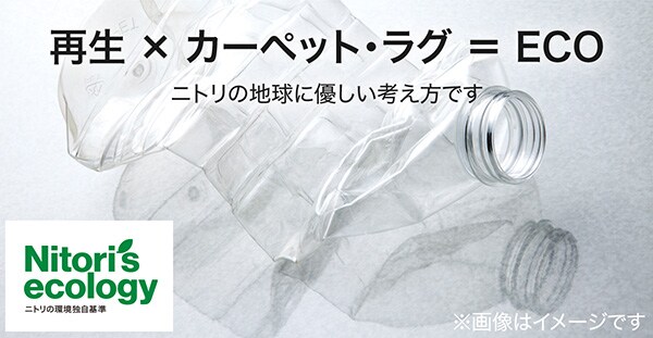 短い毛足でお手入れしやすい NSシャギーカーペット