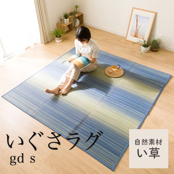 いぐさラグ(gd s)