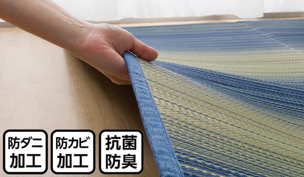 いぐさラグ(gd s)