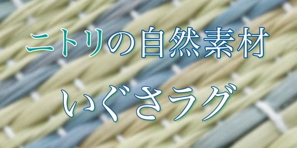 いぐさラグ(gd s)