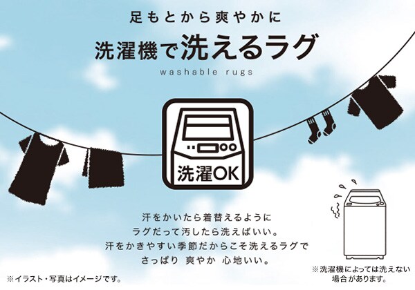 洗濯機で洗えるラグ