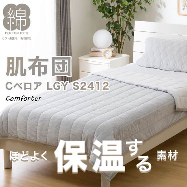 ﾊﾀﾞﾌﾄﾝ Cﾍﾞﾛｱ S LGY S2412