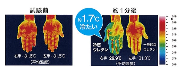 冷感低反発まくら