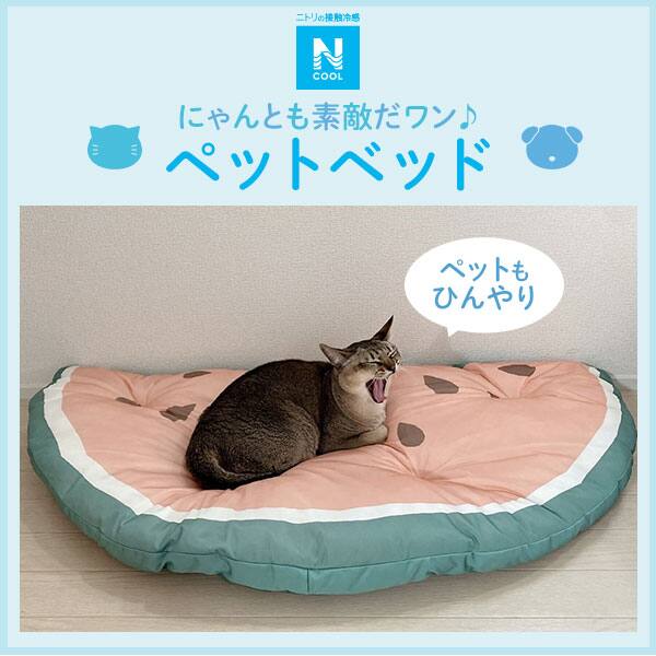 ペットベッド Nクール 2way スイカ N 通販 ニトリネット 公式 家具 インテリア通販