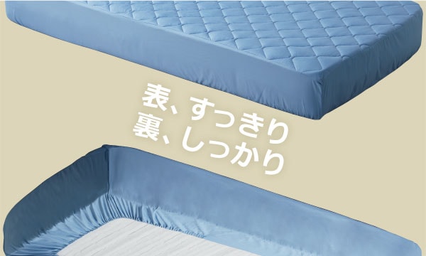 NクールSP さらもち