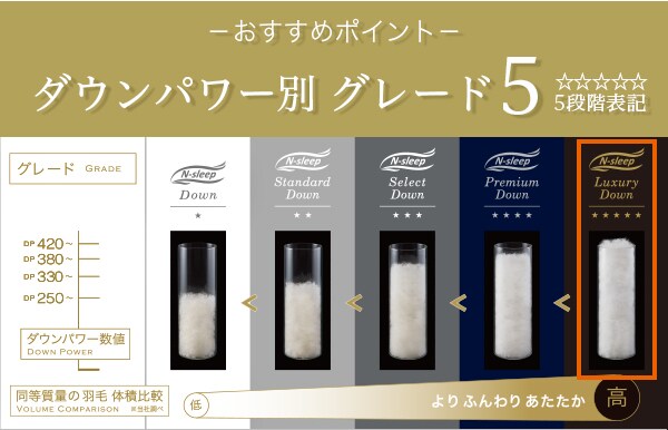 ダウンパワー別グレード5