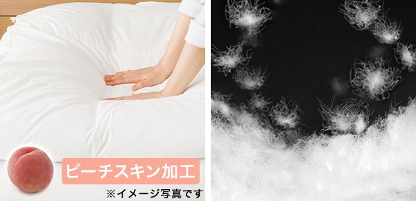 抗アレル物質・消臭抗菌