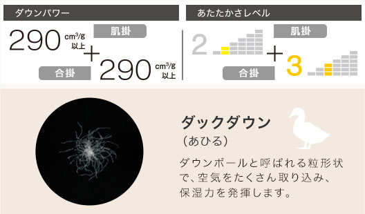 NsleepDown