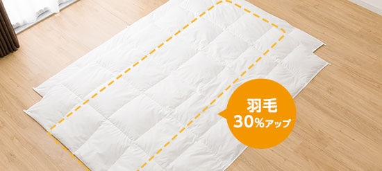 NsleepDown